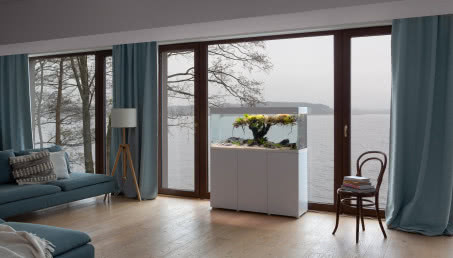 Akwarium we wnętrzu. Dlaczego warto je mieć?