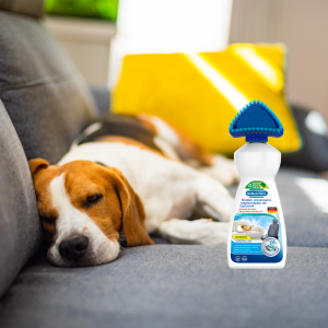 Wpuść wiosnę do swojego domu ze wsparciem Dr. Beckmann!