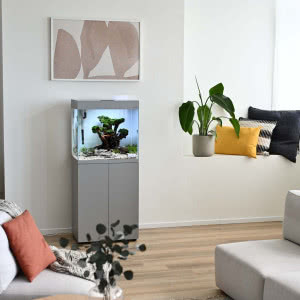 Akwarium we wnętrzu. Dlaczego warto je mieć?