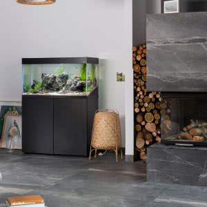 Akwarium we wnętrzu. Dlaczego warto je mieć?