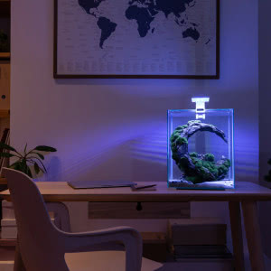 Akwarium we wnętrzu. Dlaczego warto je mieć?