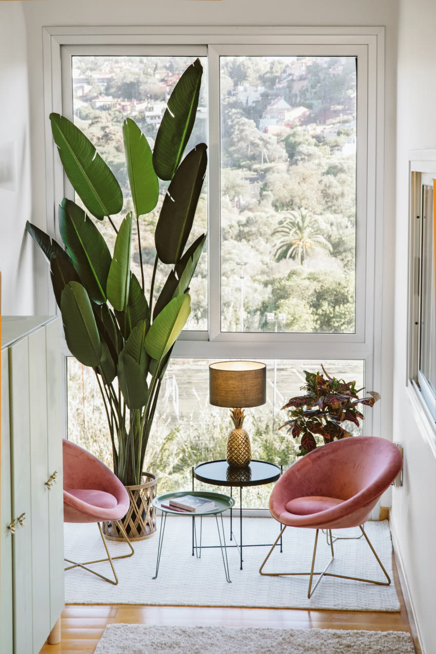 Fotele-muszle zapraszają,
by się w nie...