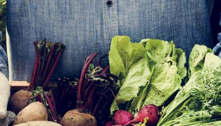 Targ warzywny - nowa kolekcja DUKA do kuchni i jadalni na jesień 2018