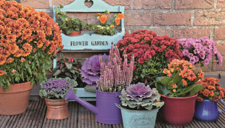 Jesień w ogrodzie - lista zadań do wykonania