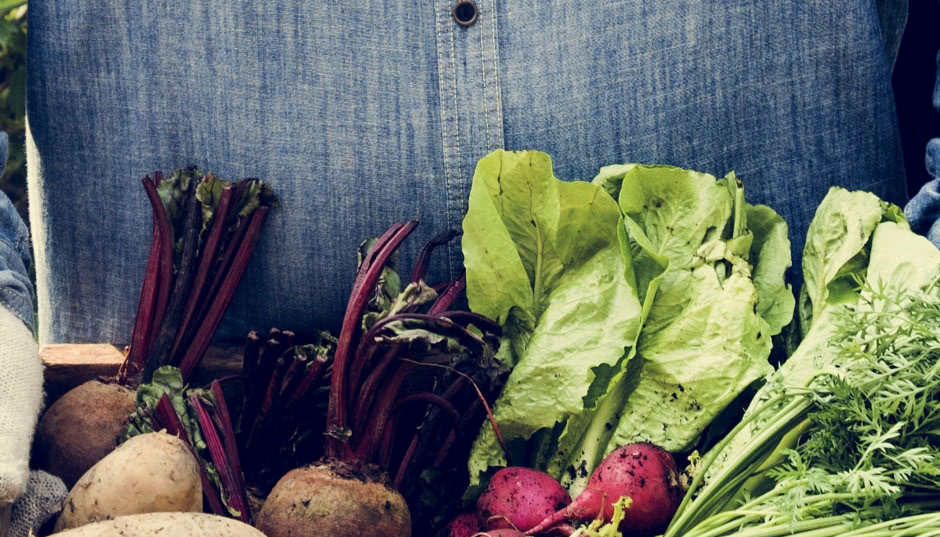 Targ warzywny - nowa kolekcja DUKA do kuchni i jadalni na jesień 2018