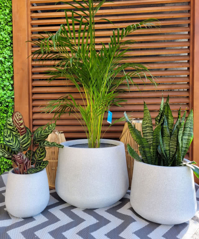 Marzysz o idealnym tarasie? Odkryj modne donice Garden & You i stwórz wyjątkową strefę relaksu!