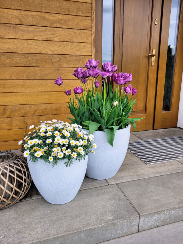 Marzysz o idealnym tarasie? Odkryj modne donice Garden & You i stwórz wyjątkową strefę relaksu!