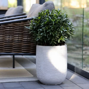 Marzysz o idealnym tarasie? Odkryj modne donice Garden & You i stwórz wyjątkową strefę relaksu!