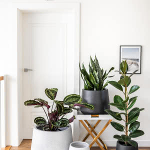 Marzysz o idealnym tarasie? Odkryj modne donice Garden & You i stwórz wyjątkową strefę relaksu!