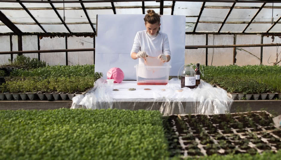 SCOBY - alternatywa dla plastikowych opakowań