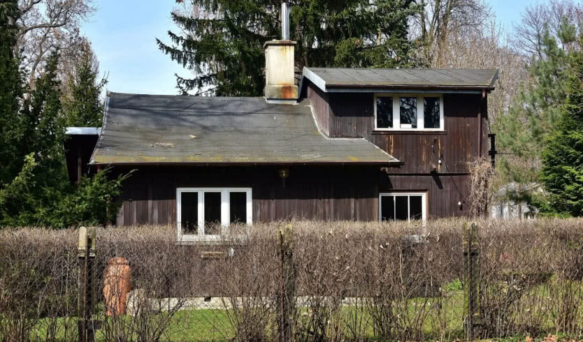 Malwina Konopacka i jej kolorowa ceramika! Jak zmieniał się słynny wazon OKO?