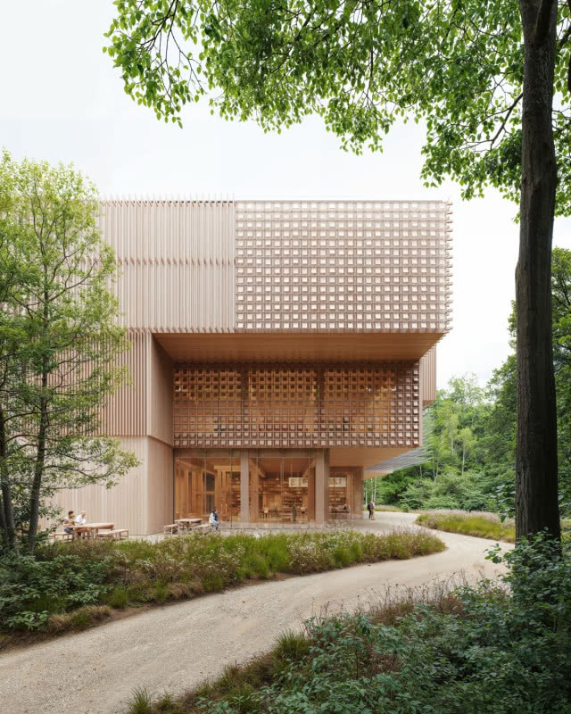 Centrum Sztuki i Nauki o Drewnie Xylopolis, projekt WXCA