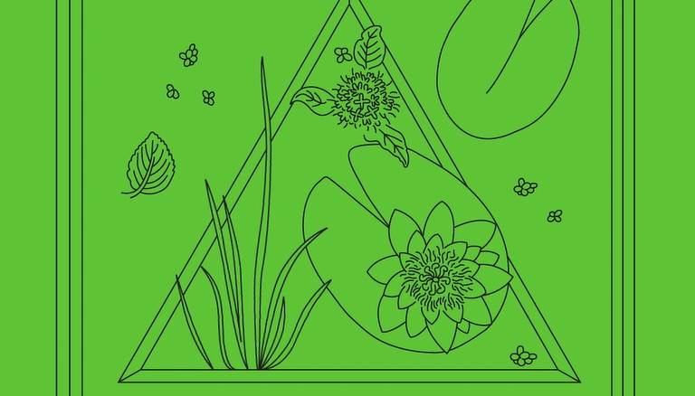 Łódź Design Festival - zbuduj pływającą wyspę!