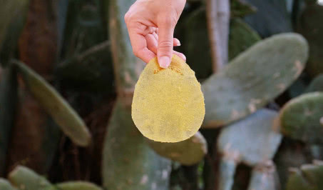 Ten listek to papier toaletowy! Zawiera nasiona, które można wysiać