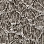 Tapeta z kolekcji Lino Sublime, Giardini -...