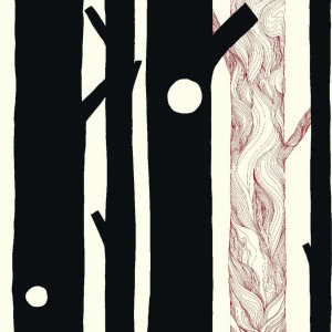 Tapety - przegląd modnych stylów