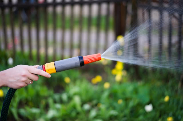podlewanie trawy