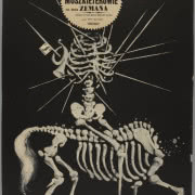 "Sanatorium pod klepsydrą", film na motywach...