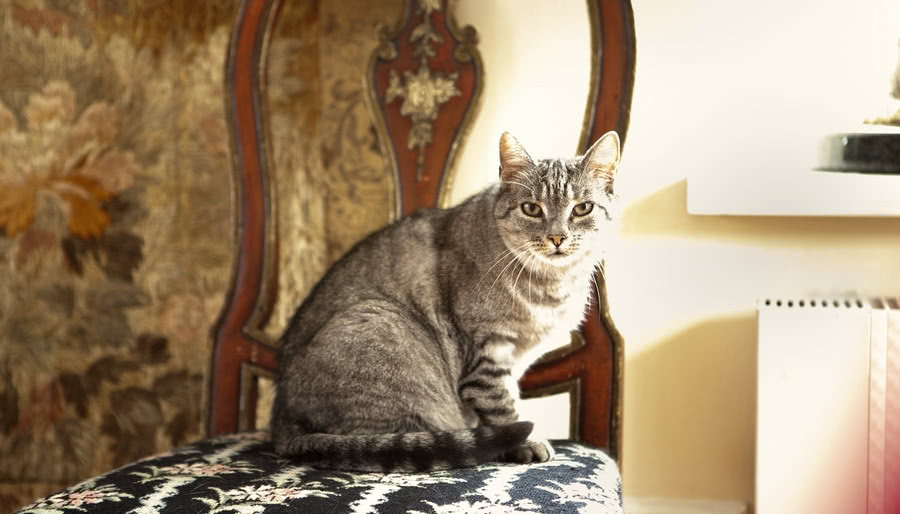 Duch zaklęty w przedmiotach - konkurs literacki