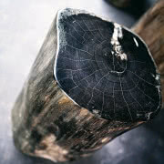 Kielich czarnoksiężnika. 
Puchar Sugar Dandy De...