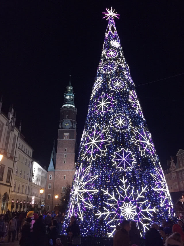 choinka we Wrocławiu w fiolecie