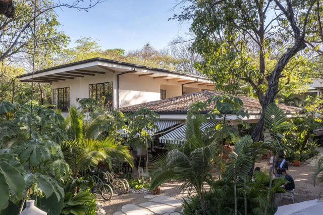 budynek hotelu cały w palmach