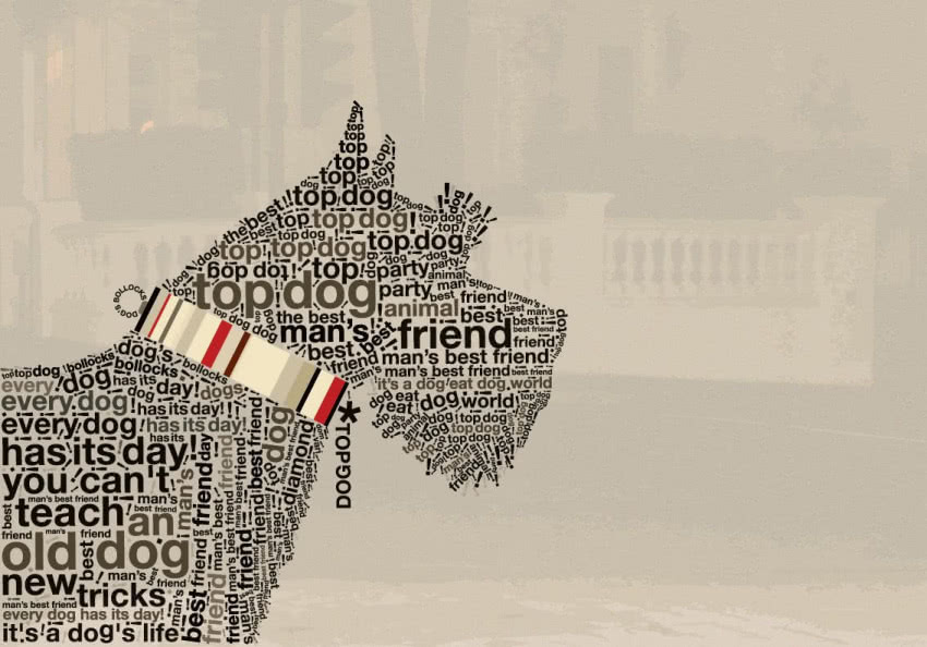 Terrier. Fototapeta z kolekcji Evolution 5,...