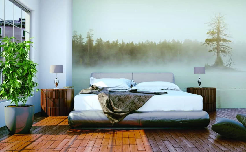 Drzewo we mgle. Fototapeta z samoprzylepnej...