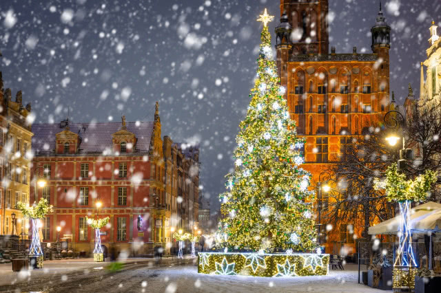 gdańska choinka w śniegu