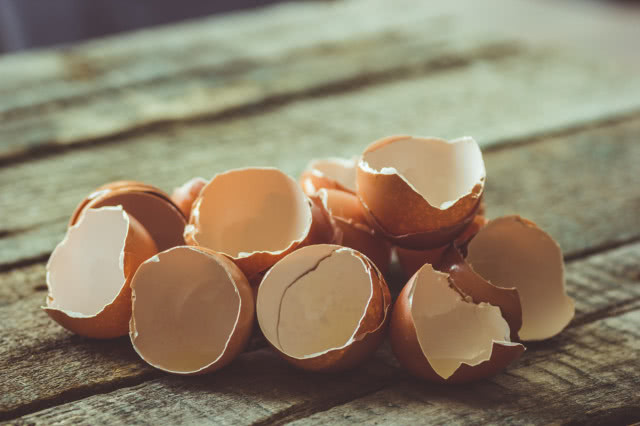 zbliżenie na skorupki po jajkach