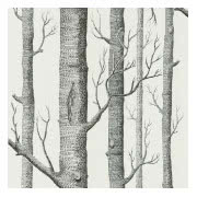 Tapeta ścienna New Contemporary Selection