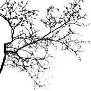 Kielich czarnoksiężnika. 
Puchar Sugar Dandy De...