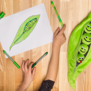 Fasolka projektu Agaty (10 lat) - jedna z 20...