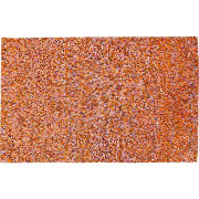 Dywan Theo Tiger 62x120 cm, Sfmeble.pl, 319 zł