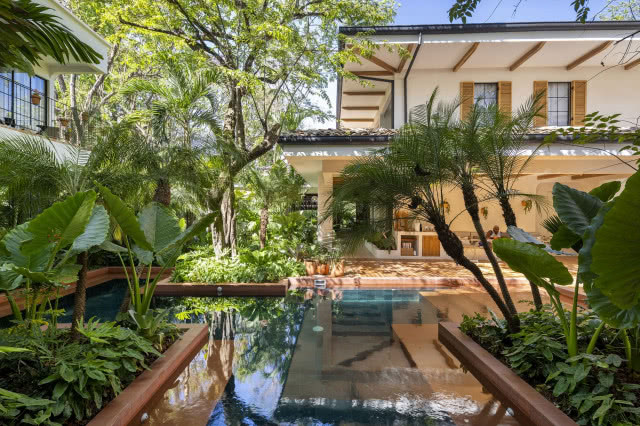 widok na oczko wodne otoczone bujną zielenią