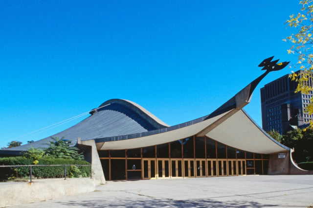 lodowisko jak wieloryb