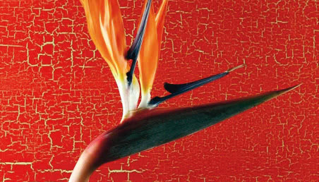 Dekoracja ścian w salonie