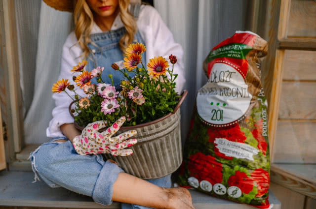 podłoże do kwiatów kwitnących