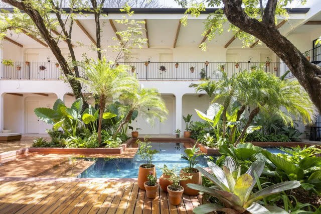 patio, na pierwszym planie donice