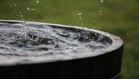 Zbiornik na deszczówkę - ile kosztuje, czy się opłaca i jak go podłączyć?