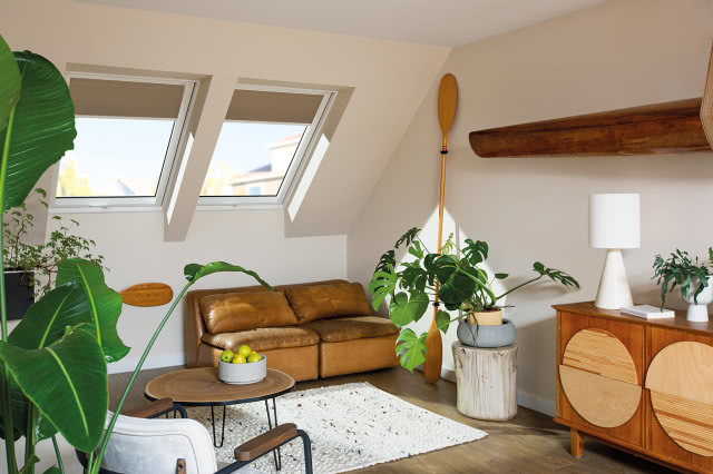 monstera we wnętrzu na poddaszu