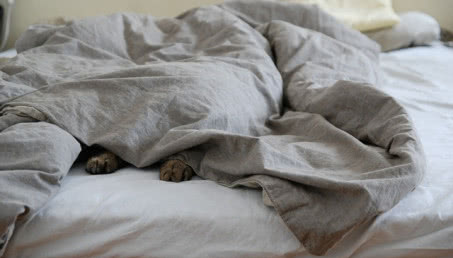 Wiosenne metamorfozy wnętrza sypialni