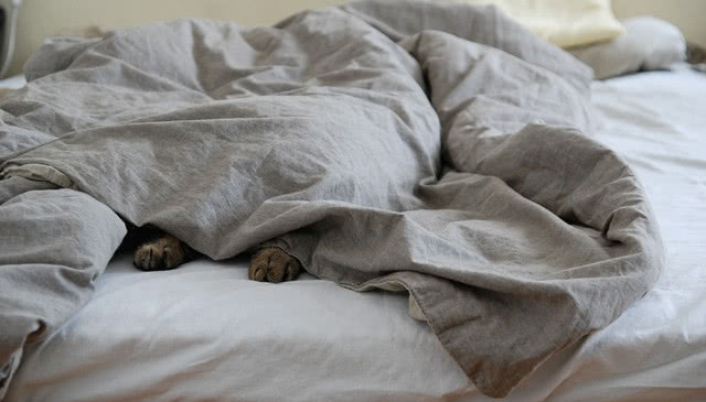 Wiosenne metamorfozy wnętrza sypialni